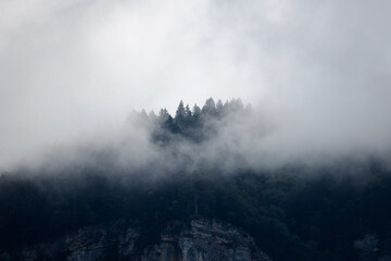 fog in the mountains