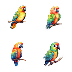 set of cute parrot watercolor illustrations for printing on baby clothes, sticker, postcards, baby showers, games and books, safari jungle animals vector