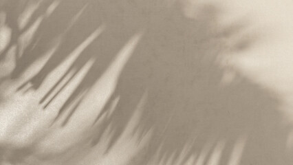 Tropical palm tree in sunlight with leaf shadow on blank beige brown cement texture wall for luxury...