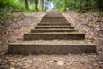 Step stairs in autumn forest park, Latvia Ligatne