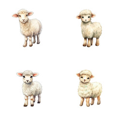 Fototapeta premium set of cute sheep watercolor illustrations for printing on baby clothes, sticker, postcards, baby showers, games and books, safari jungle animals vector