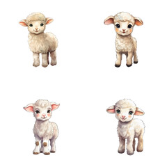 set of cute sheep watercolor illustrations for printing on baby clothes, sticker, postcards, baby showers, games and books, safari jungle animals vector