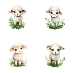 set of cute sheep watercolor illustrations for printing on baby clothes, sticker, postcards, baby showers, games and books, safari jungle animals vector