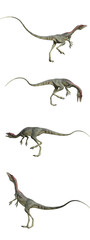 3d render Echinodon becklesii, little dinosaur
