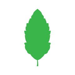 Green leaf, tree branch svg cut file. Isolated vector illustration.
