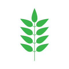 Green leaf, tree branch svg cut file. Isolated vector illustration.