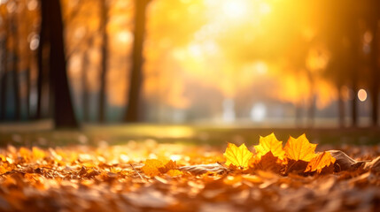 Naklejka na ściany i meble Autumn leaves on the sun and blurred trees . Fall background. Generated by AI