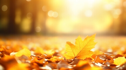 Autumn leaves on the sun and blurred trees . Fall background. Generated by AI