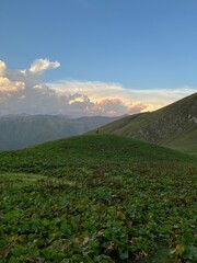 Fototapeta premium landscape in the morning