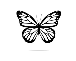 butterfly silhouette vector