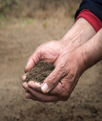 Man's hands holding a handful of earth