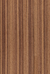 Texture of walnut (high-detailed wood texture series)