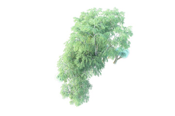 Naklejka premium African forest isolated on transparent background. 3d rendering - illustration