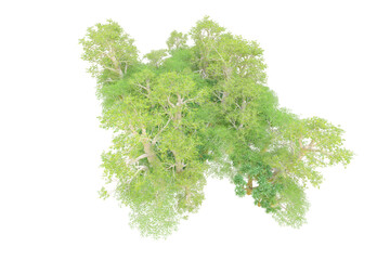 Obraz premium African forest isolated on transparent background. 3d rendering - illustration