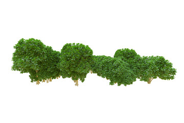 Fototapeta premium African forest isolated on transparent background. 3d rendering - illustration