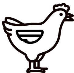 illustration of a chicken