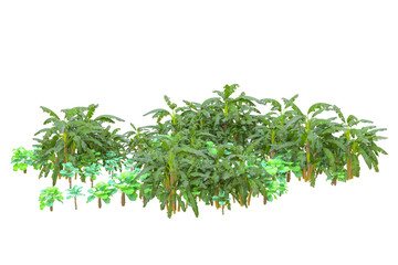 Tropical forest isolated on transparent background. 3d rendering - illustration