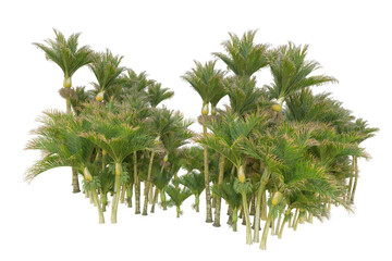 Tropical landscape isolated on transparent background. 3d rendering - illustration