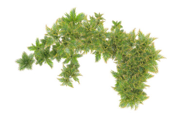 Tropical landscape isolated on transparent background. 3d rendering - illustration