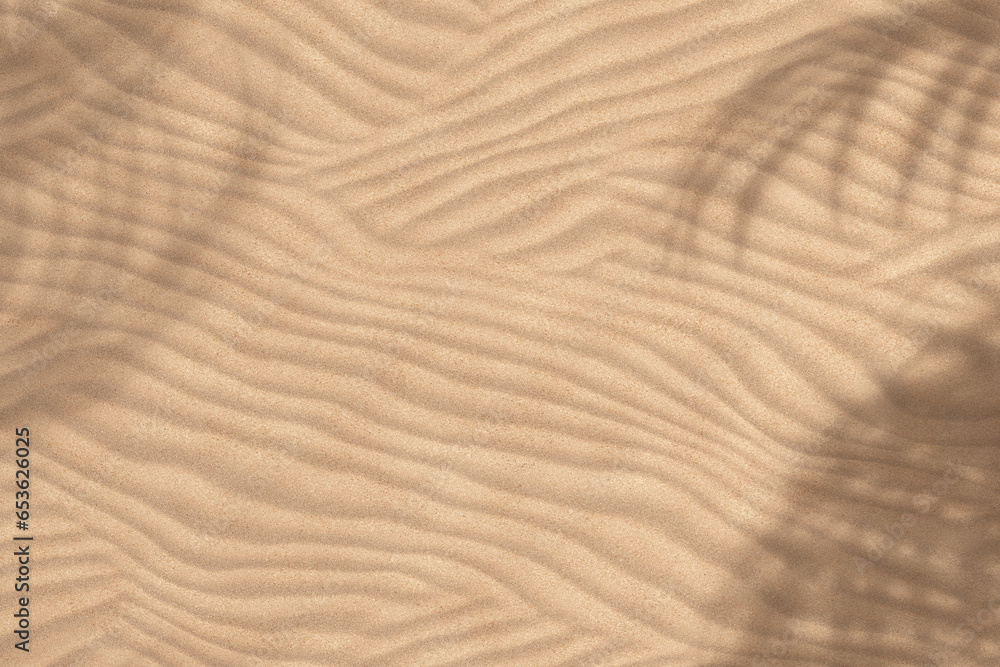 Poster top view of palm tree leaf shadow on sand background. 3d rendering