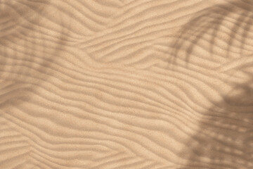 Top View of Palm Tree Leaf Shadow on Sand Background. 3d Rendering