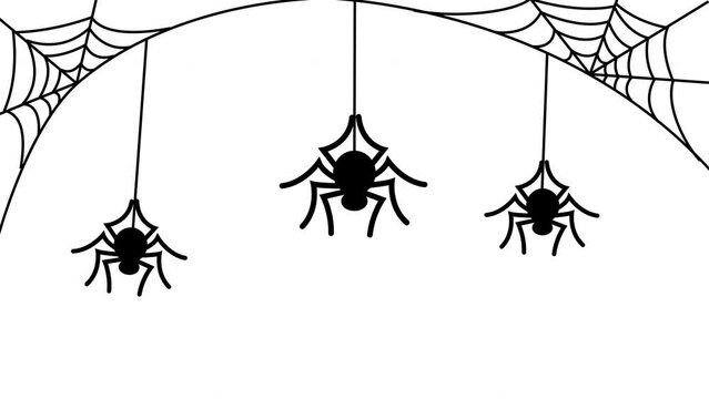 Halloween black spiders hanging from webs on white background. 2d animation. 4k stock footage