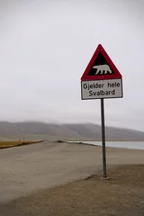 Foto op Aluminium A warning sign against polar bears marking the end of the safe zone in Longyearbyen, Svalbard, Norway during an overcast day © Bartosz Szałaj