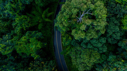 Aerial top view road in forest with car motion blur. Winding road through the forest. Car drive on...