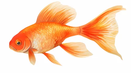 Fotobehang Hand drawn cartoon goldfish illustration  © 俊后生