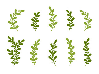 Set of floral abstract design elements. leaves, branches. Vector illustration. 