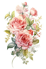 Watercolor painting of various type of roses for background.