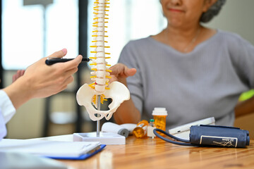 Orthopedist pointing at spine bone model, explaining the problem to mature female patient - obrazy, fototapety, plakaty