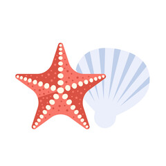 Starfish and shell - 653637889