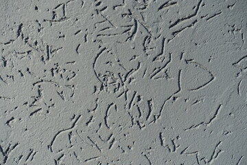 Macro of gray wall with stucco worm swirl finish