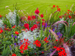 detail of flower garden with green lawn background
