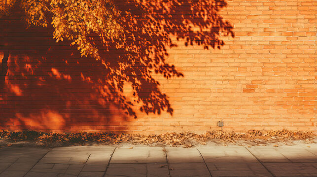 Fototapeta The shadow of the leaves on the red orange brick wall. House, sidewalk. Exterior street outdoors. Background. Space for product design object. Moskup stage presentation template. Nature tree plant.