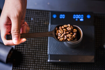 Barista coffee holding spoon of grain roasted coffee  measuring on machine in coffee shop