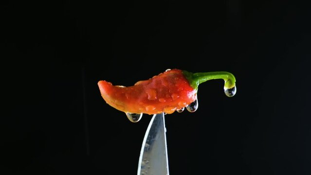 Red Chili Pepper Impaled on the Tip of Knife and Splashed with Water Droplets (UHD)
