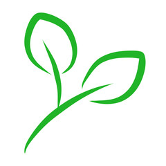 Leaf line icon