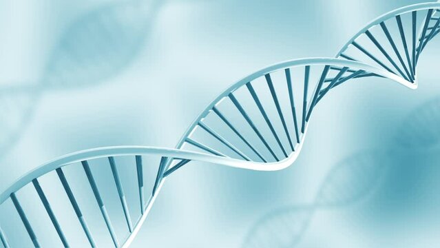 Looping glassy DNA model rotating for 14 seconds