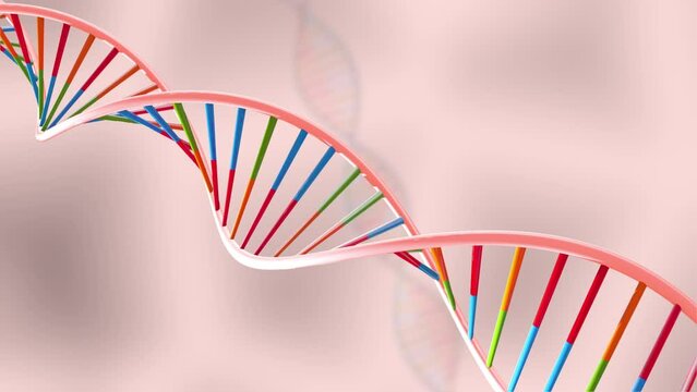14 seconds looping multi-coloured DNA structure rotating