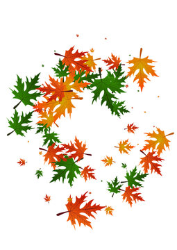 Ocher Floral Background White Vector. Leaf Canadian Pattern. Gold September. Bright Texture. Brown Leaves Collection.