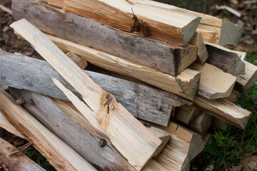 Harvested firewood for the winter. A pile of chopped logs
