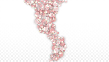 Pink Vector Realistic Petals Falling on Transparent Background.  Spring Romantic Flowers Illustration. Flying Petals. Sakura Spa Design. Blossom Confetti. Design Elements for Wedding Decoration.
