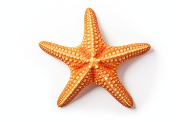  Starfish isolated on white background