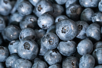 Background of fresh blueberries, macro.