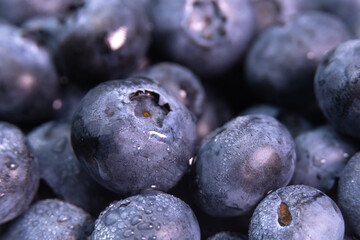 Macro photography, background of ripe juicy large blueberries with water droplets. Blueberry texture, berry background