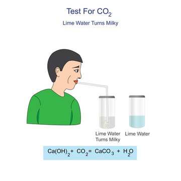 Diagram for the testing of carbon dioxide gas. bubble carbondioxide through limewater, it forms a solid precipitate of calcium carbonate and lime water turns milky.