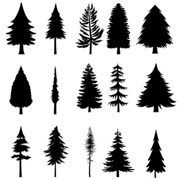 Pine tree icon vector set. Christmas tree illustration sign collection. Pine symbol or logo.