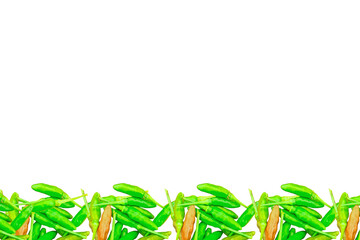 Obraz premium chili frame arranged into picture frames, frame / frame chili, leaf frame, leaf picture, bright green, natural leaf color, transparent background png file